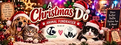 Christmas Do / Animal Fundraiser