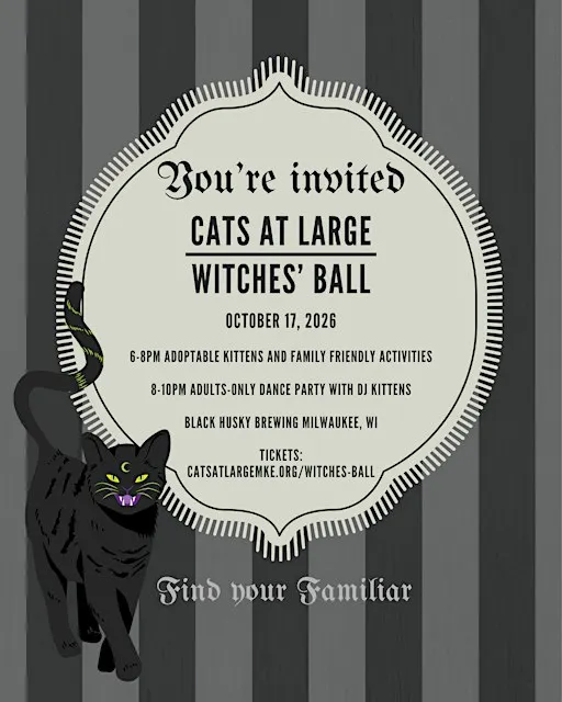 Cats At Large Witches' Ball