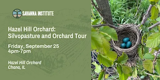 Hazel Hill Orchard: Silvopasture and Orchard Tour