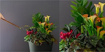 Create Your Own Spooky Cauldron Planter at Mahoney's Brighton