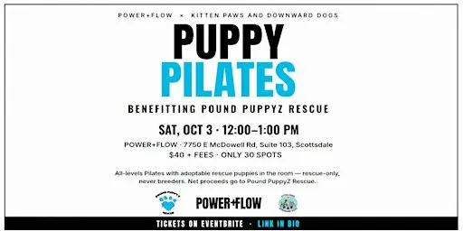 Puppy Pilates Benefitting Pound PuppyZ