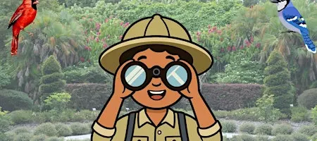 Beginner Backyard Birding