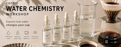 Ratdog coffee workshop - water chemistry intermediate