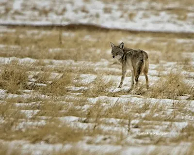 Winter Solstice Walk