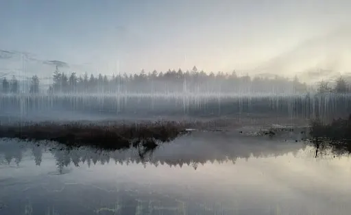 The Beaver Lake Project