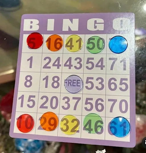 Houseplant Bingo Home Edition
