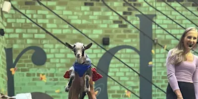Goat Yoga at Bellyard