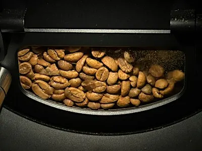 Ratdog coffee roasting workshop with Aillio bullet R2 Pro