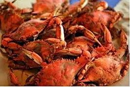 Southeast Crab Feast - Knoxville (Fall Event)