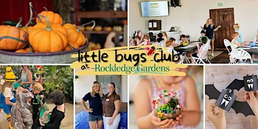Little Bugs Learning Lab: Fall Fun