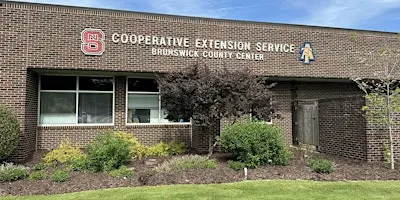 Pruning Basics for Successful Landscape Trees in Coastal Carolina