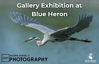 Gallery Night on the Preserve