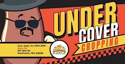 UNDER COVER CROPPING - AREA 34 LOCATION