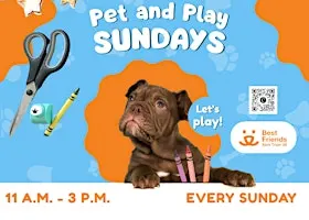Drop by the Best Friends Pet Resource Center for Pet & Play Sunday!