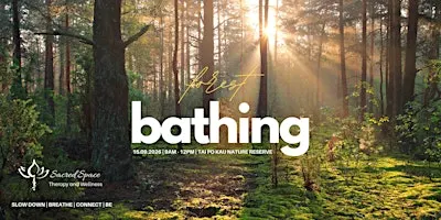 Forest Bathing | Tai Po Kau Nature Reserve