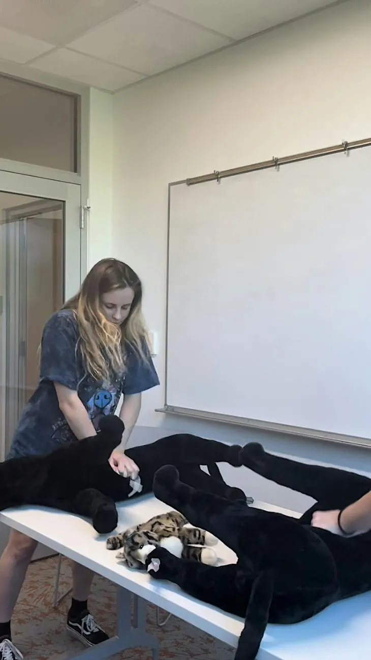 Hands - On Pet First Aid & CPCR