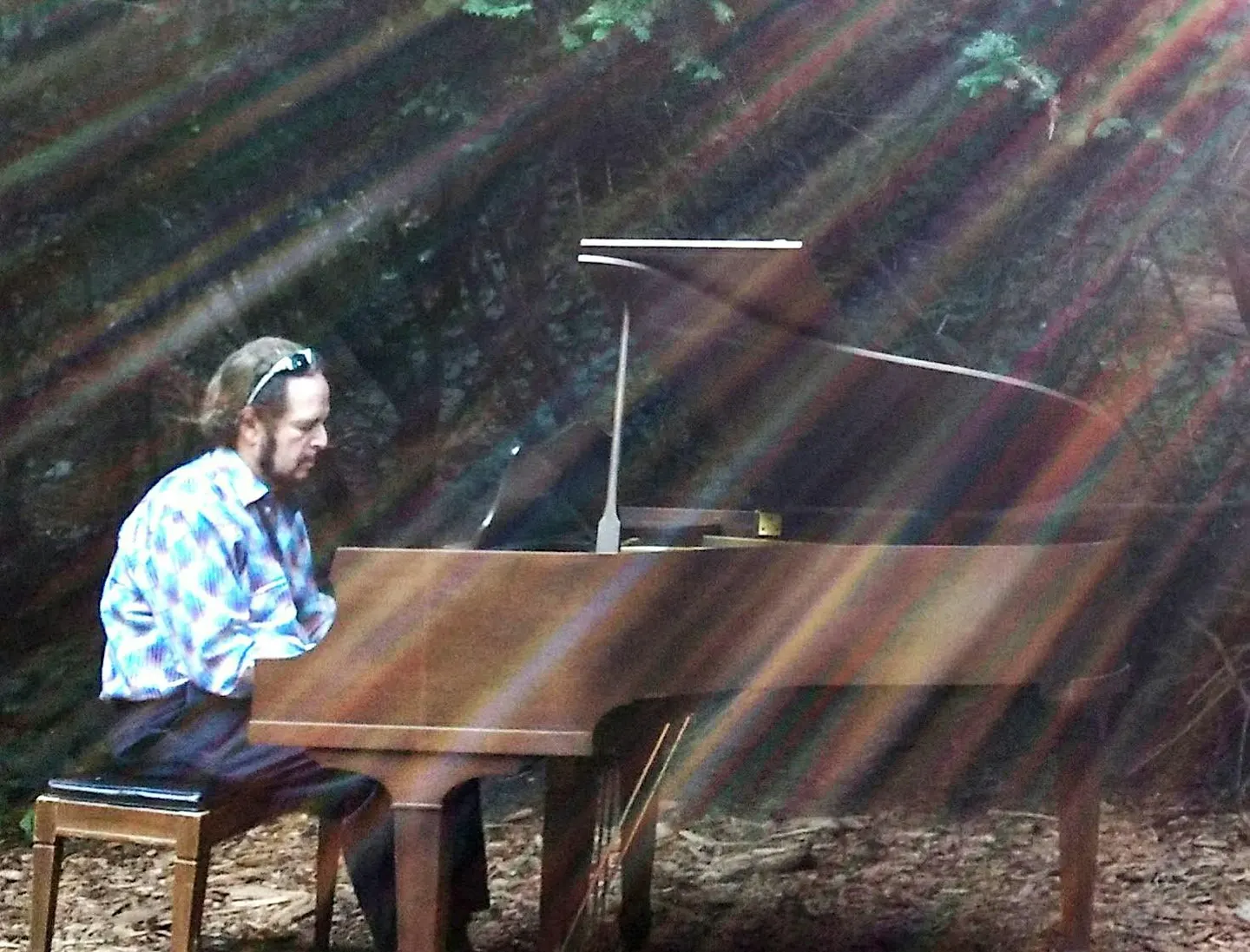 Piano and Poetry Concert with David Lieberstein
