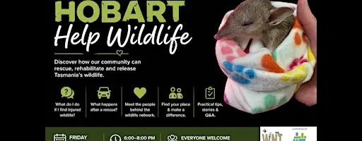 Helping Hobart Help Wildlife