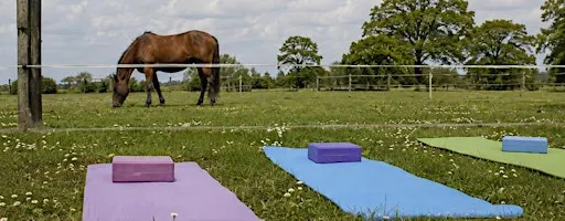 Yoga with Horses | Equine & Nature Connection | Hillam, Leeds LS25