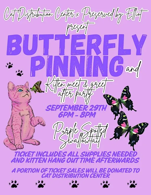 Butterfly Pinning + Kitten Meet and Greet
