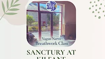 Vagus Nerve Breathwork Class- Kilfane, Thomastown