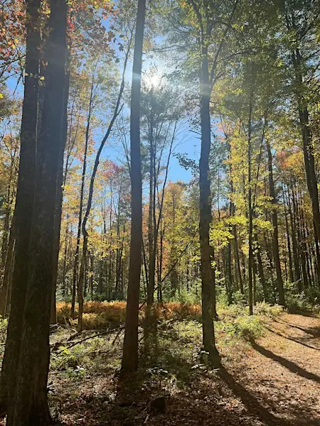 Nature On the Move
