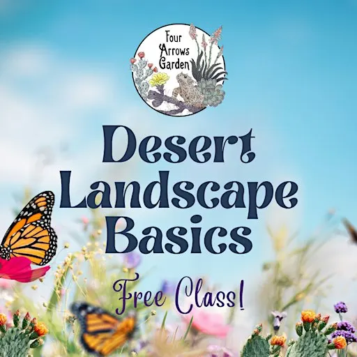 Desert Landscape Basics