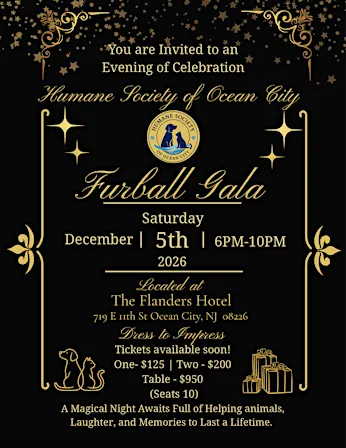 HSOC Furball Gala