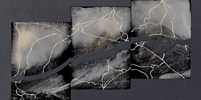 Wetplate Collodion: Hybrid Processes
