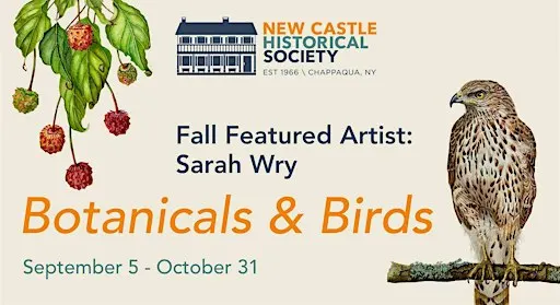Fall Featured Artist Exhibition: Botanicals & Birds by Sarah Wry