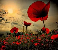 The Royal British Legion Northern Ireland Festival of Remembrance