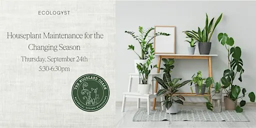 Free Seminar: Houseplant Maintenance for the Changing Season