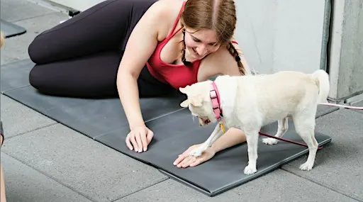 Puppy Pilates with Social Tees Animal Rescue