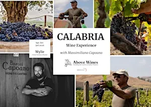 CALABRIA Wine Experience: Meet the Winemaker!