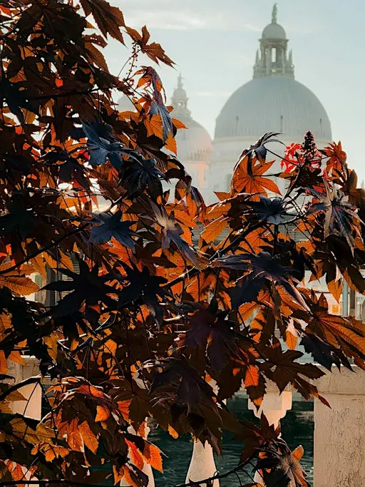 A New Window into Italy: An Autumn Evening