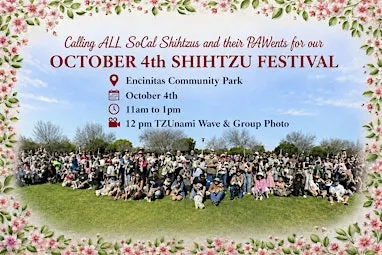SoCal Shih Tzu Festival