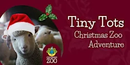 Tiny Tots Christmas Zoo Adventure