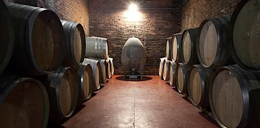 Tasting at Museum Wines: The Art of the Blend