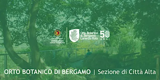 IL VENTO IN POESIA