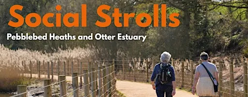 Social Stroll