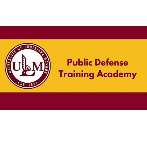 Public Defense Training Academy: Theory of the Case
