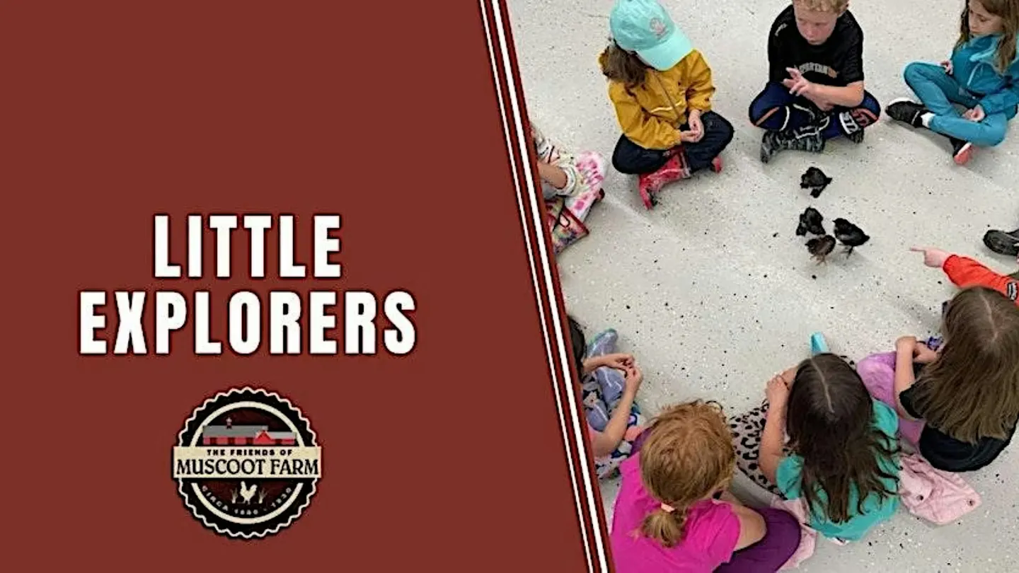 Little Explorers