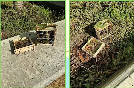 Build Your Own Bug Hotels