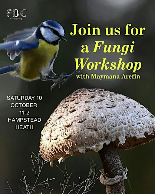 Fungi Workshop with Maymana Arefin x FBC England