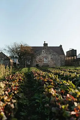 Soil Health Workshop - Scotland