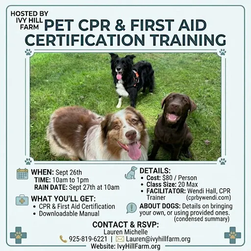 Pet CPR & First Aid CertificationTraining