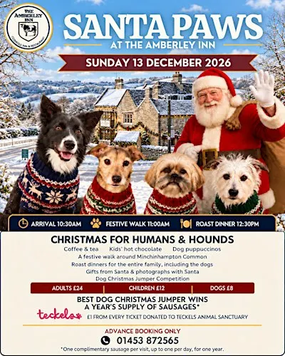 Santa Paws at The Amberley Inn