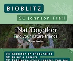 Mini-BioBlitz in Brantford