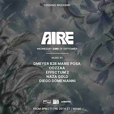 AIRE DMEYER B2B MARIE POSA OOZZAA EFFECTUM