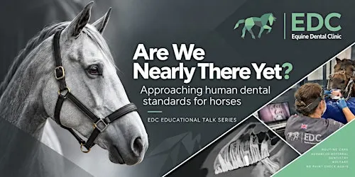 Are We Nearly There Yet? How close is equine dentistry to human dentistry?